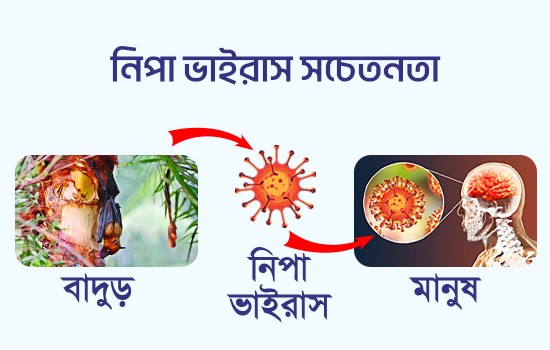 নিপাহ ভাইরাস সচেতনতা